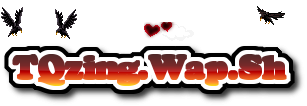 TQzing.Wap.Sh 384